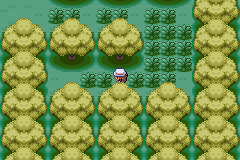 screenshots/Game Boy Advance/Pokemon - FireRed - LeafGreen/Pokemon FireRed (Eng) 090.png